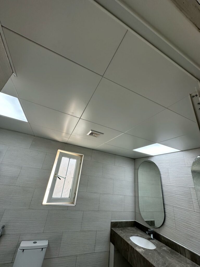 Ceiling Work